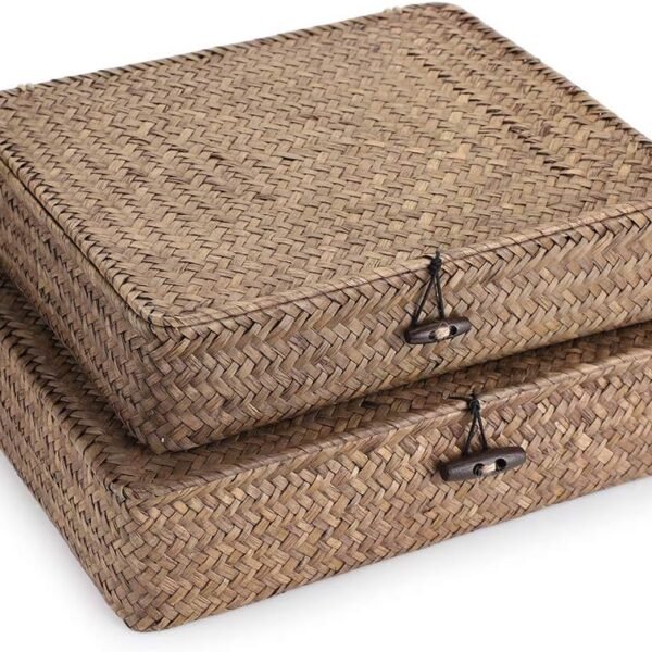 Flat Woven Storage Baskets with Lids, Set of 2