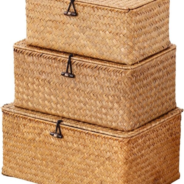 Wicker Storage Baskets with Lids, Set of 3