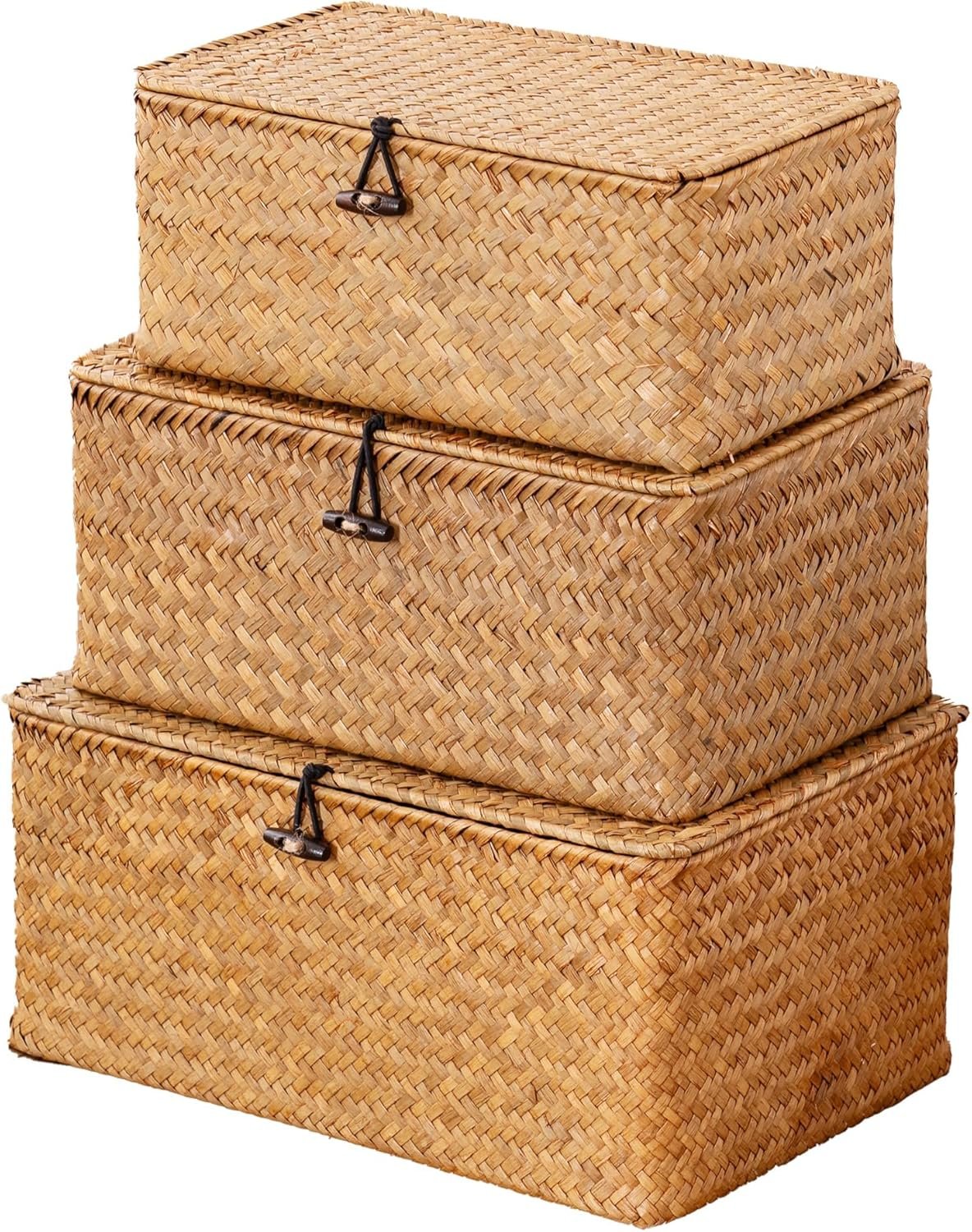 Wicker Storage Baskets with Lids, Set of 3